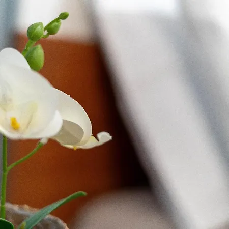 Semesterbostad Casa De Santo Amaro *