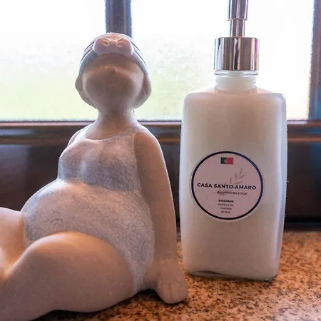 Semesterbostad Casa De Santo Amaro Carrazedo (Aveiro)