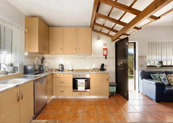 Tatil Evi Casa De Santo Amaro Carrazedo (Aveiro)